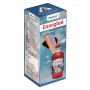 Dehlvi Energine
