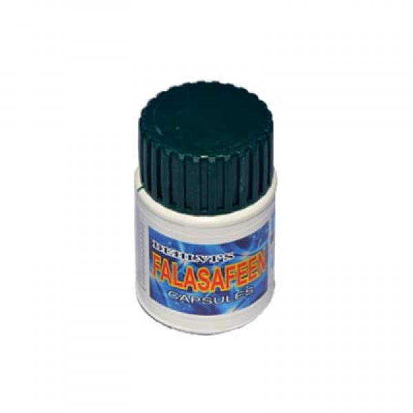 Dehlvi Falasafeen Capsules