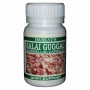 Dehlvi Salai-guggul Capsule