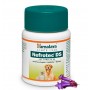 Himalaya Nefrotec DS VET TABLET